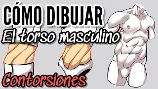 CÓMO DIBUJAR EL TORSO MASCULINO / ANATOMIA / LAS CONTORSIONES/ EL TORSO /TUTORIAL DE DIBUJO #dibujo