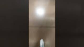 Ssssus