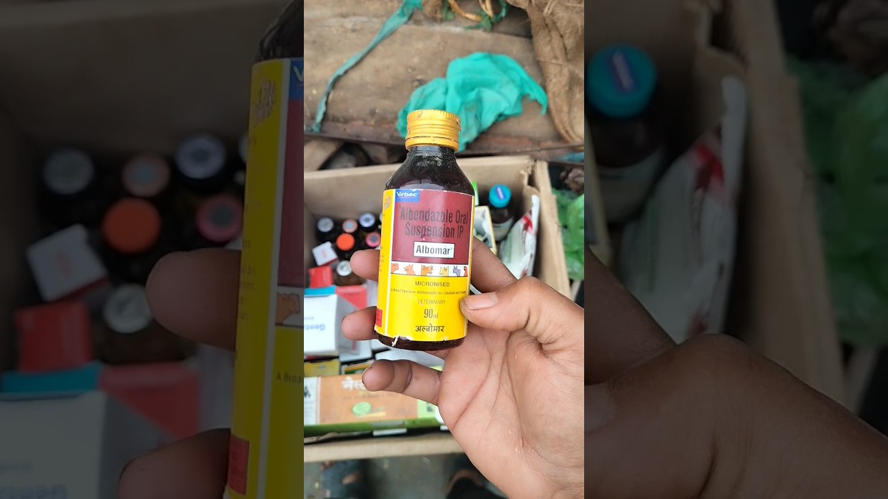 bakri ke pet ka kido ka dewwarmer 