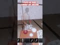 Petapeta level 8 #akvrsa #99nightintheforest #robloxgranny #horrorgame #robloxedit