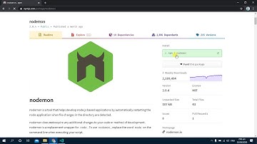 Install Dev Dependency to NodeJS Project