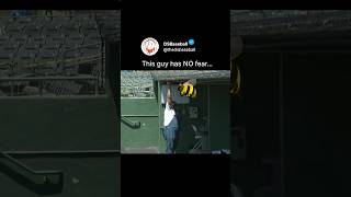 0000 Bees Vs 1 Bare Hand 