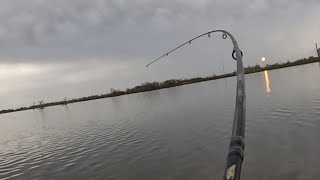 Bank Fishing Venice, Louisiana For Blue Tail Red