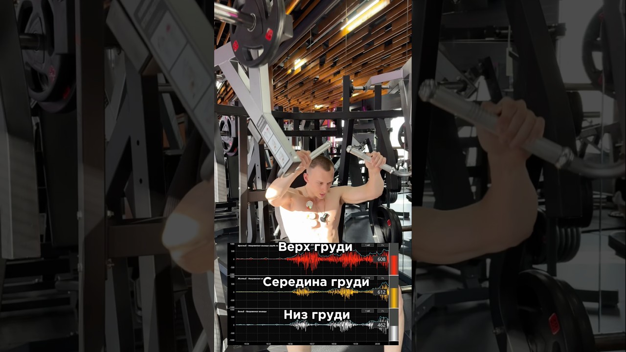 Грудь в хамере по науке💪🏼За персональным планом обращаться в телеграмм:@TrainerSmirnoVV 🤝