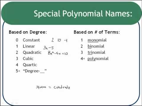 quadratic trinomial quadratic trinomial