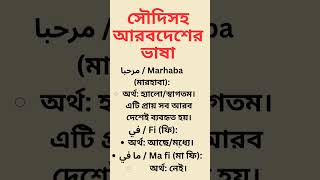 ⭐ সৌদিসহ সব আরব দেশে প্রয়োজনীয় আরবি ভাষা শিখে নিন | Spoken Arabic for All Arab Countries
