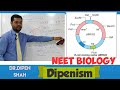 pBR322 Plasmid Vector | Principles of Biotechnology | Class 12 CBSE Biology #NEET #Dipenism