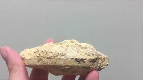 Tools to use to clean fossils BEGINNERS