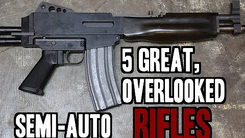 5 Great, but Overlooked, Semi Automatic Rifles - DayDayNews