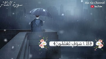 سورة التكاثر {تلاوة مريحة و هادئة}