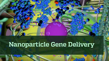 Nanoparticle Gene Delivery