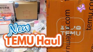 New TEMU Kitchen HAUL!  Appliances and Gadgets!  My Honest Opinion!