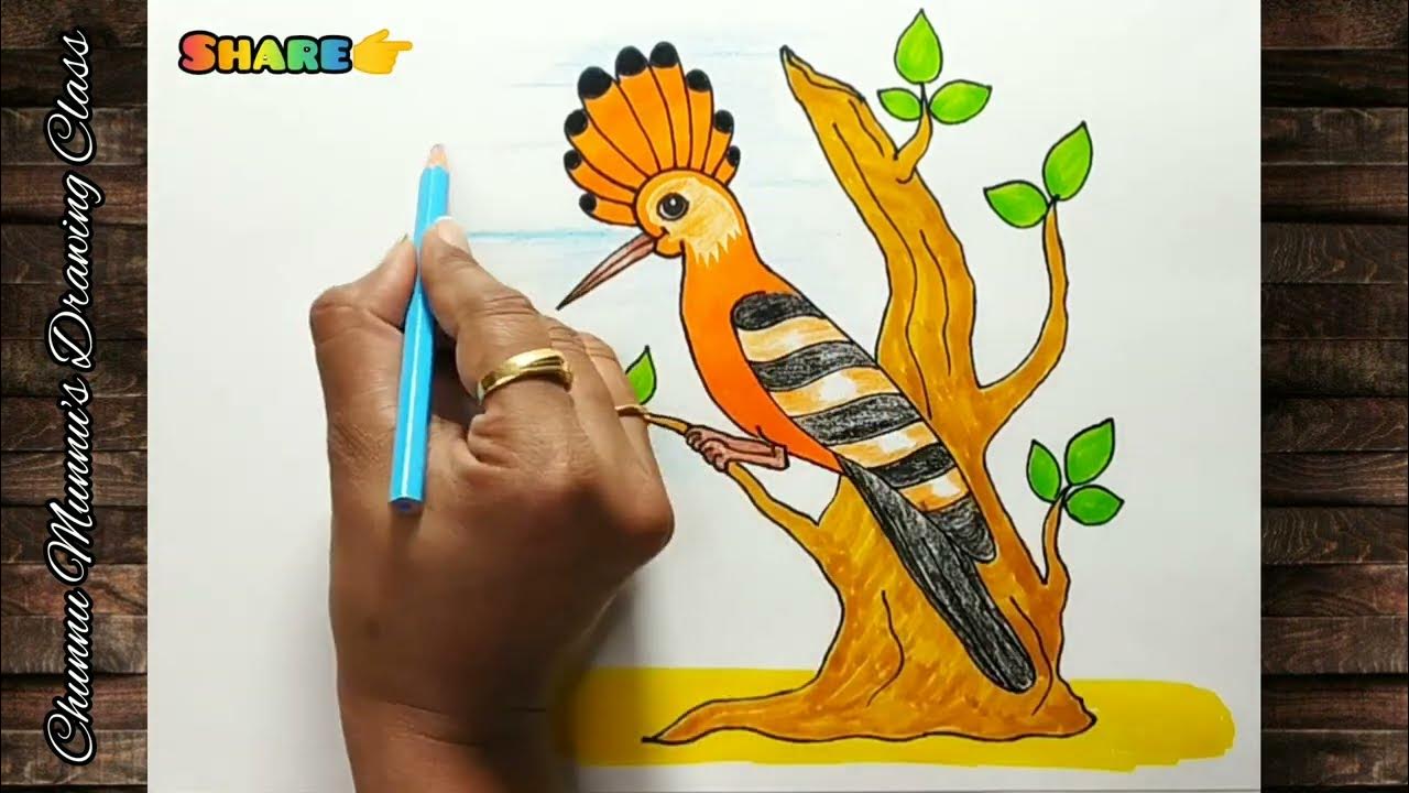 Hoopoe Bird Drawing Easily And Quickly Step By Step For Kids ll How To