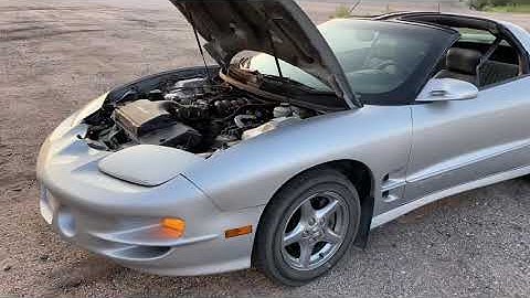 LS1 Trans Am Torquer V2 cam idle part 2