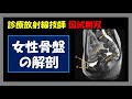 【診療放射線技師国家試験】 女性骨盤の解剖