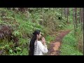 Forest bathing in the city of pines baguio camp john hay