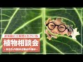 花森さん 植物相談会🪴BTFまであと2日🥦