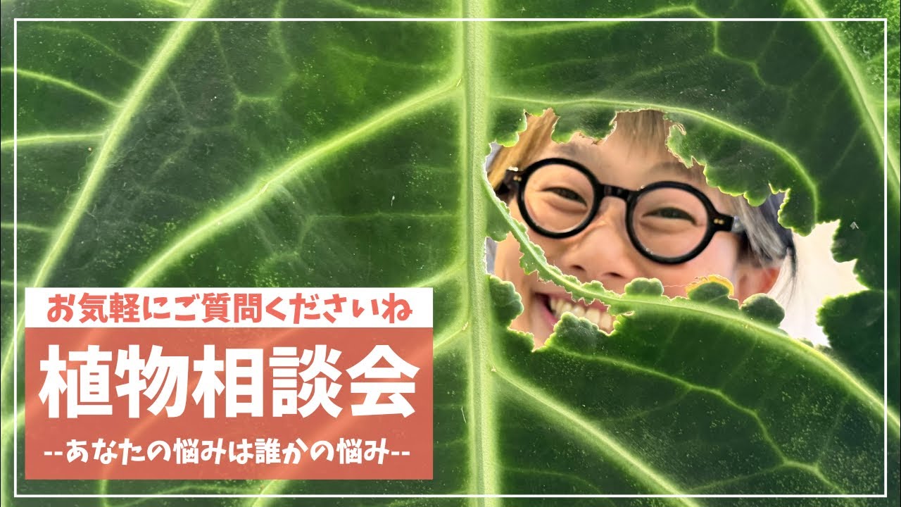 花森さん 植物相談会🪴BTFまであと2日🥦