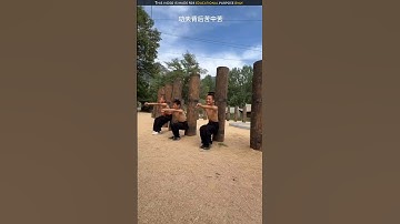 Shaolin monk training #shortsvideo