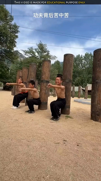 Shaolin monk training #shortsvideo