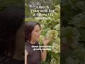 Check Yourself for a Growth Mindset Life Changing Habits 23