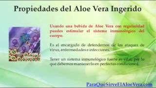 para que sirve aloe vera