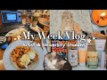 🌸 Productive Week Vlog | Artist and University Student Vlog | A Week In My Life Vlog | Shopping 🛍