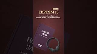 Путь к миру внутри христианской общины #библия #новыйзавет