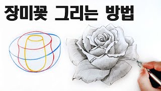 Pencil sketch tutorial drawing roses