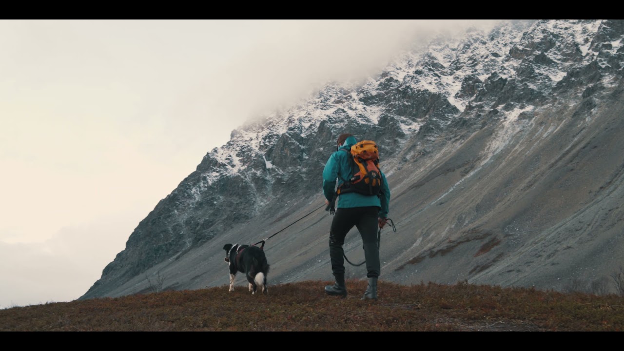 Lyngsalpan landskapsvernområde