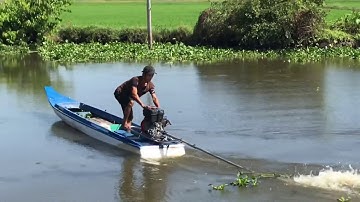 kéo vó bắt cá rô phi trắng vó |  nhạc sống 8 tới