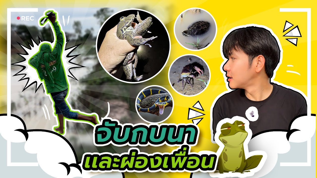 Latest Title & Thumbnail