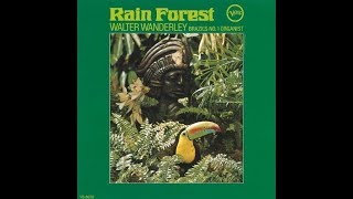 Vignette de la vidéo "Rain - walter wanderley"