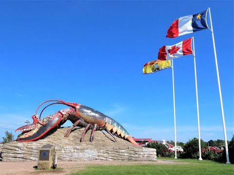 🇨🇦Shediac -Home of the  World's Largest Lobster, New Brunswick ,Canada