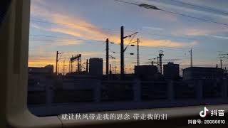 [Douyin] Mùa thu không trở lại (Cover)