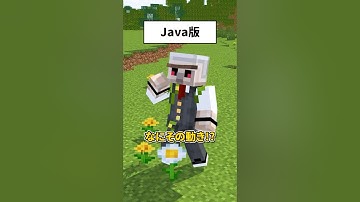 マイクラJava版と統合版の違い #shorts #マイクラ