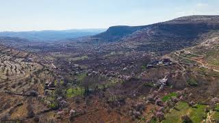 Mardin Zınnar