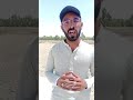 Organic Farming On cotton Crop with out Chemical Fertilizer