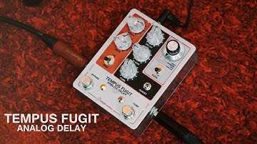 Tempus Fugit Analog Delay FTelettronica