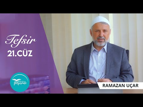Kur'ân-ın Gölgesinde -