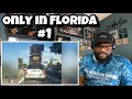 ONLY IN FLORIDA #1 REACTION