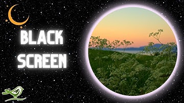 [NO ADS] Time | Black Screen & Deep Sleep Music by Peder B. Helland