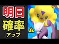 【困った判明⚠️】まさかのGOフェスにとんでもない暗雲が!!でも明日は〇〇確率アップなんで必ず確保を!