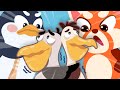 Don&#39;t Mess With Maika Red Panda, idiot Pelicans! - M2M cartoon for kids