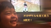 めちゃイケ オカザイル Youtube