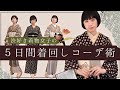 【着物一着に帯三本】お渋な着物を5日間着回すならこんな感じ【お下がり活用】