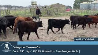 04062026000conra02