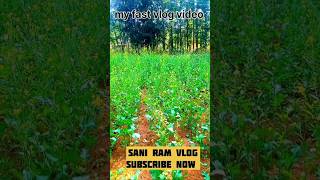 new vlog video// vlogs video santali vlog newvlogs shortvlog trending vlog