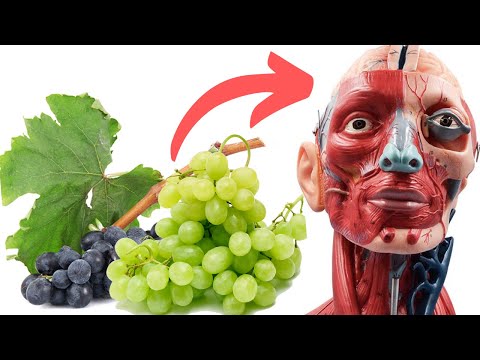 Vidéo: Les raisins verts sont-ils mauvais ?