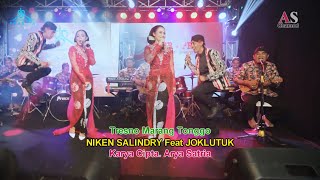 Tresno Marang Tonggo |Niken Salindry feat jokluthuk | ( Duet Terlucu )